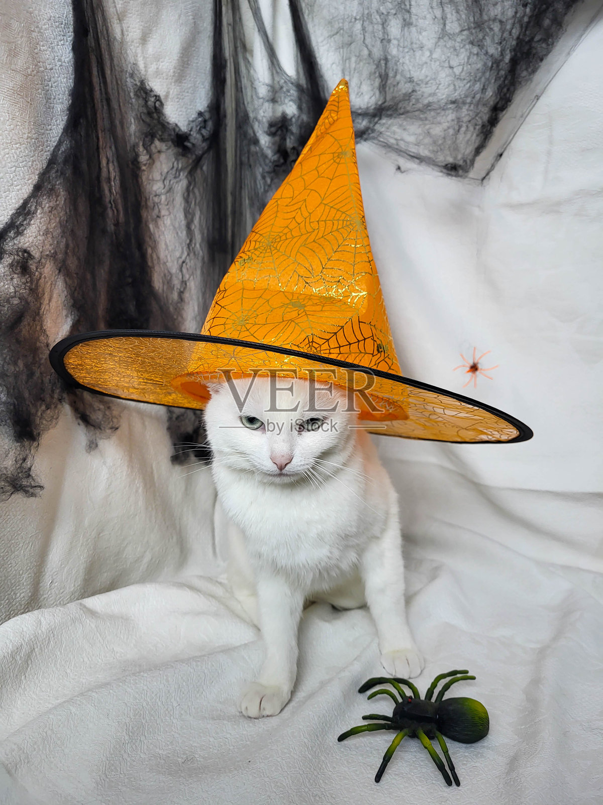 一只美丽的白猫安静地坐在白色毛毯上，戴着一顶橙色的女巫帽。照片摄影图片