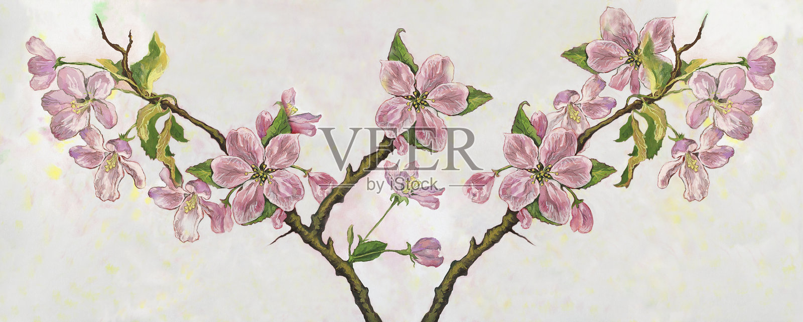 时尚的插图，印象派的现代艺术作品，我的原画水粉和水彩画，春天的静物画，在耀眼的阳光下开花的苹果树的树枝插画图片素材