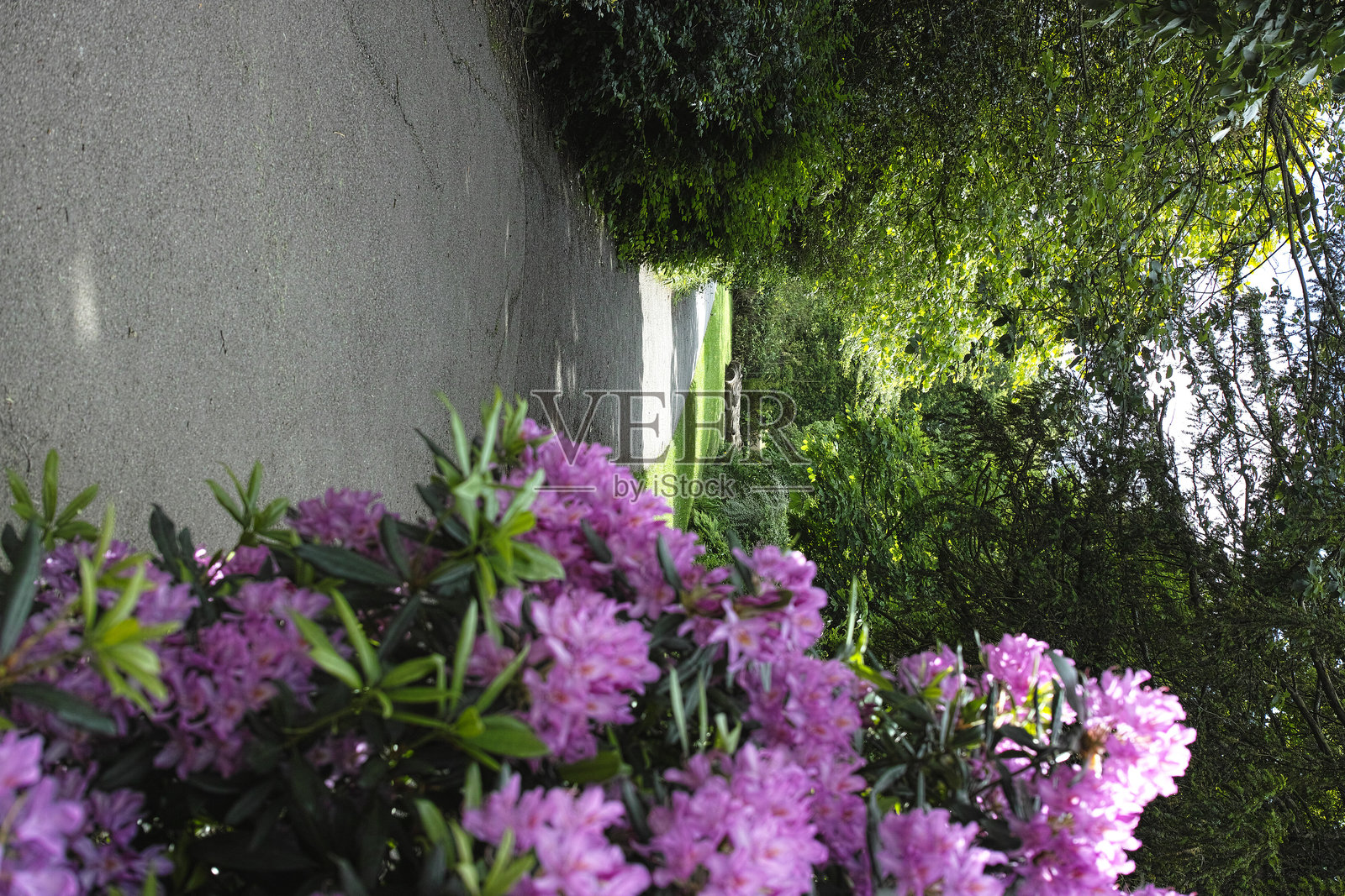 戈尔德斯山公园照片摄影图片