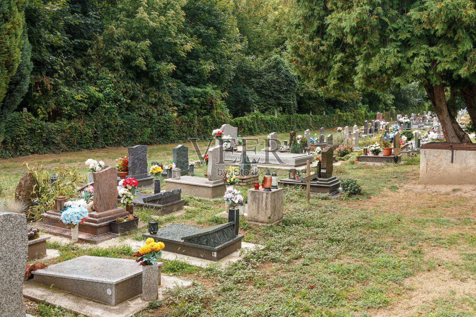 绿树成荫的墓地里，墓碑上摆放着鲜花和灯笼照片摄影图片