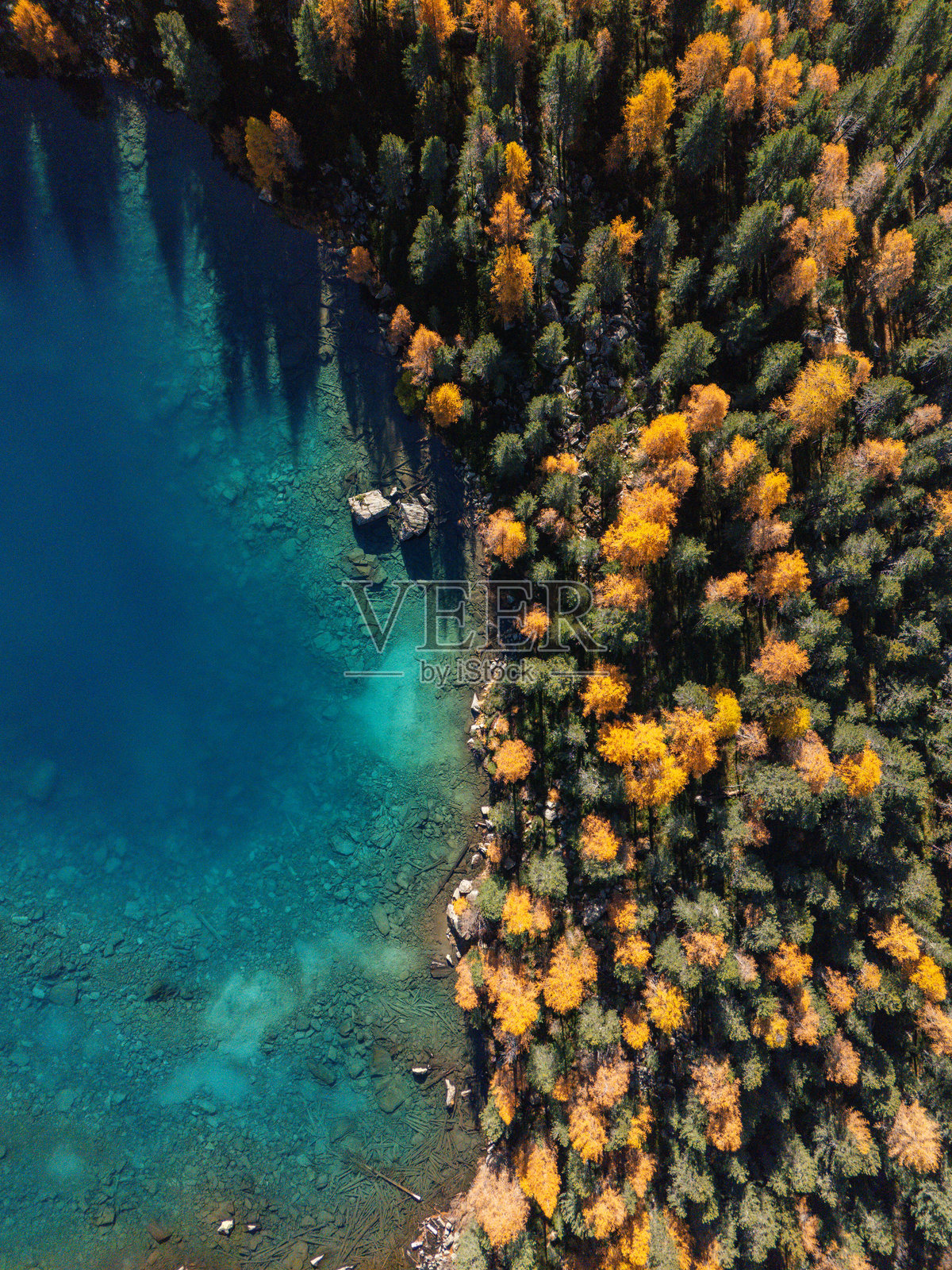 秋季森林与碧绿色湖岸的鸟瞰图照片摄影图片
