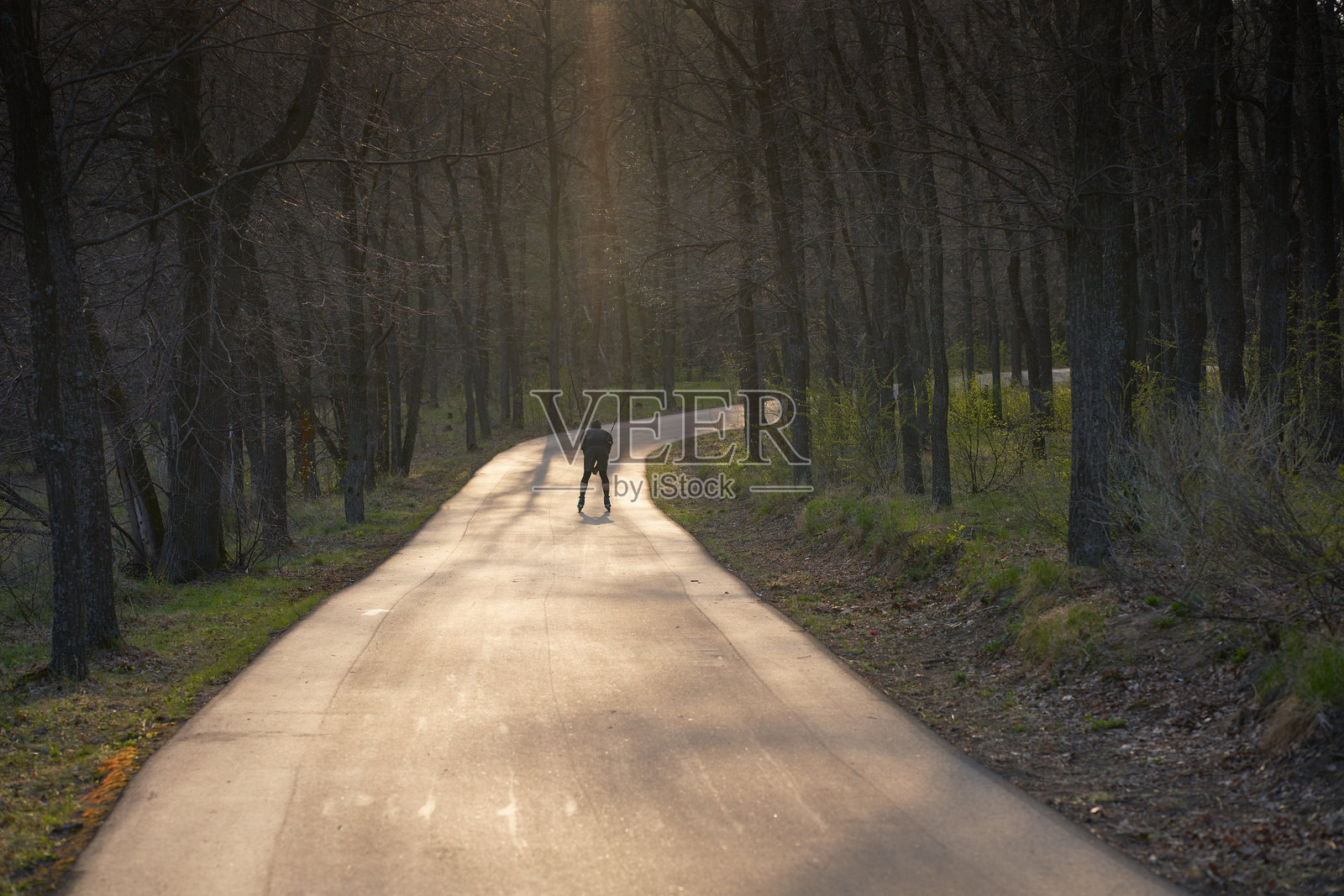 清晨，一名年轻男子在森林中的沥青路上滑旱冰。户外运动照片摄影图片