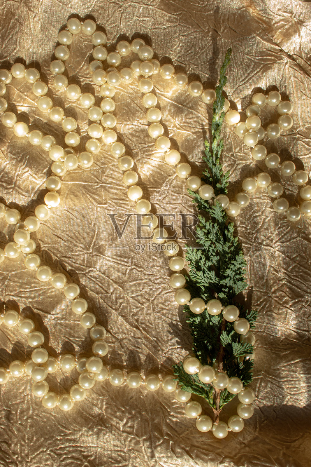 米色纹理背景上的珍珠项链和常青枝条。平铺展示。照片摄影图片