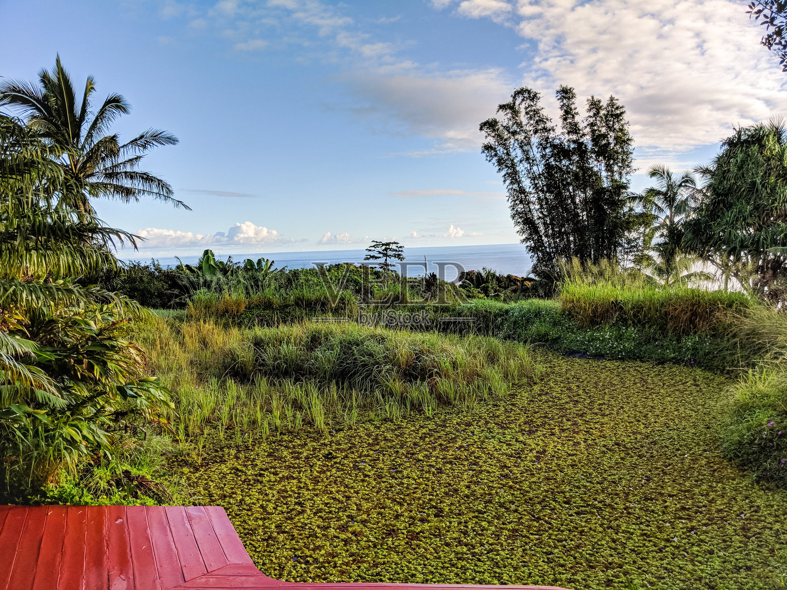 在夏威夷的某个地方照片摄影图片