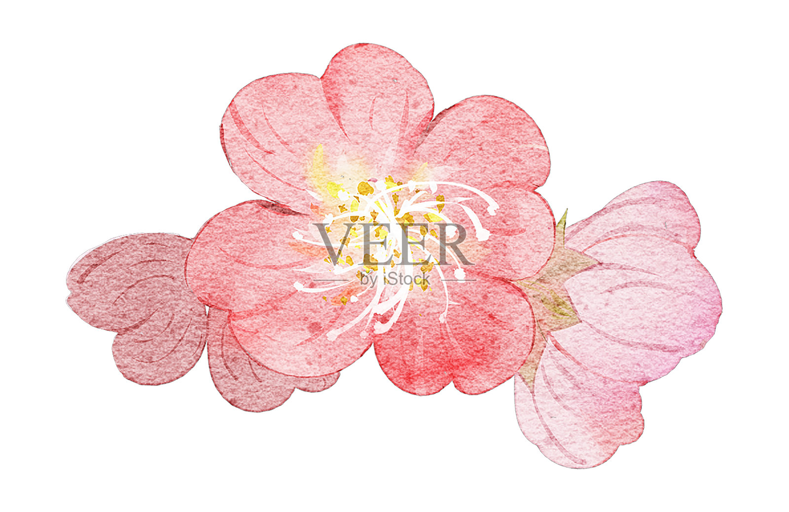 水彩粉色花朵剪贴画插画图片素材