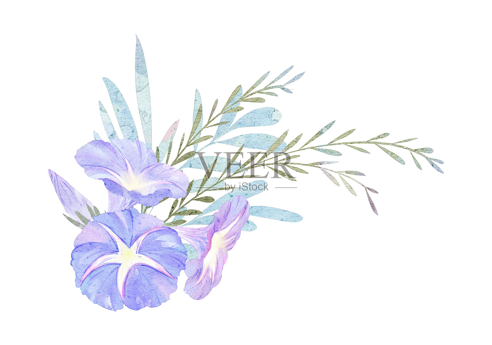 紫色牵牛花花束框架背景设计插画图片素材