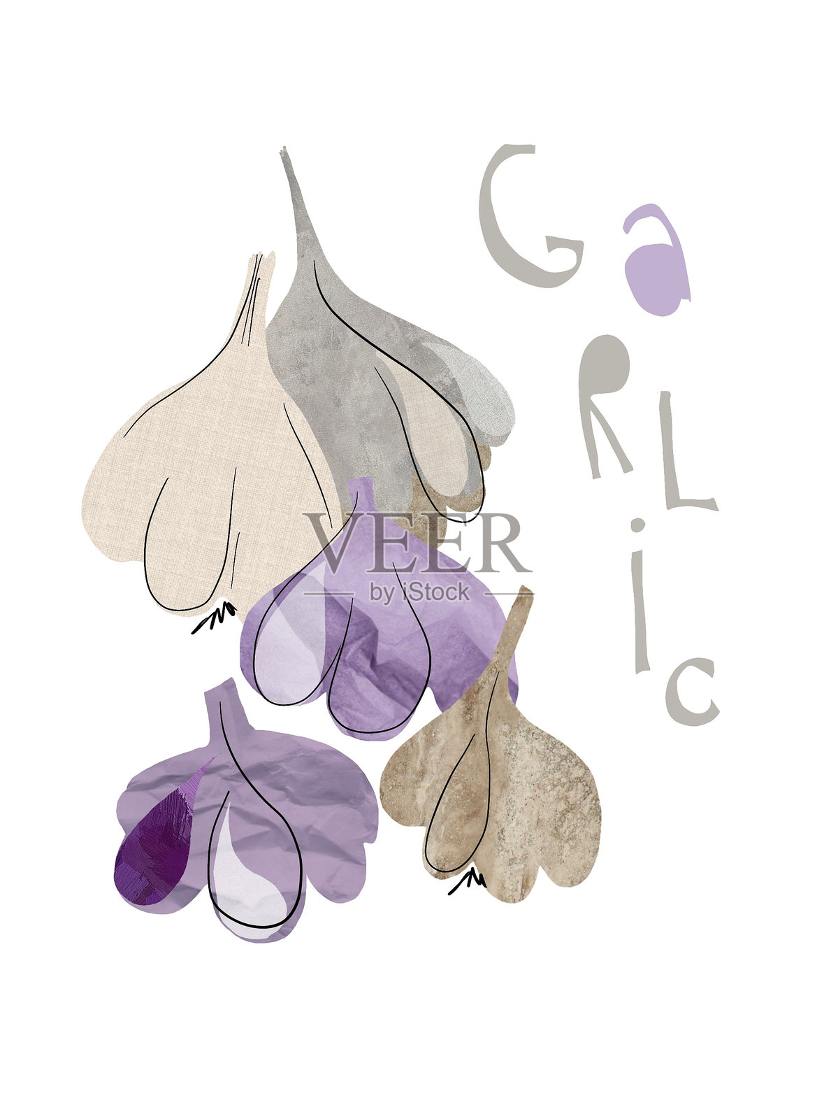 紫色和白色大蒜头的纸质数字拼贴，带有手写标签照片摄影图片