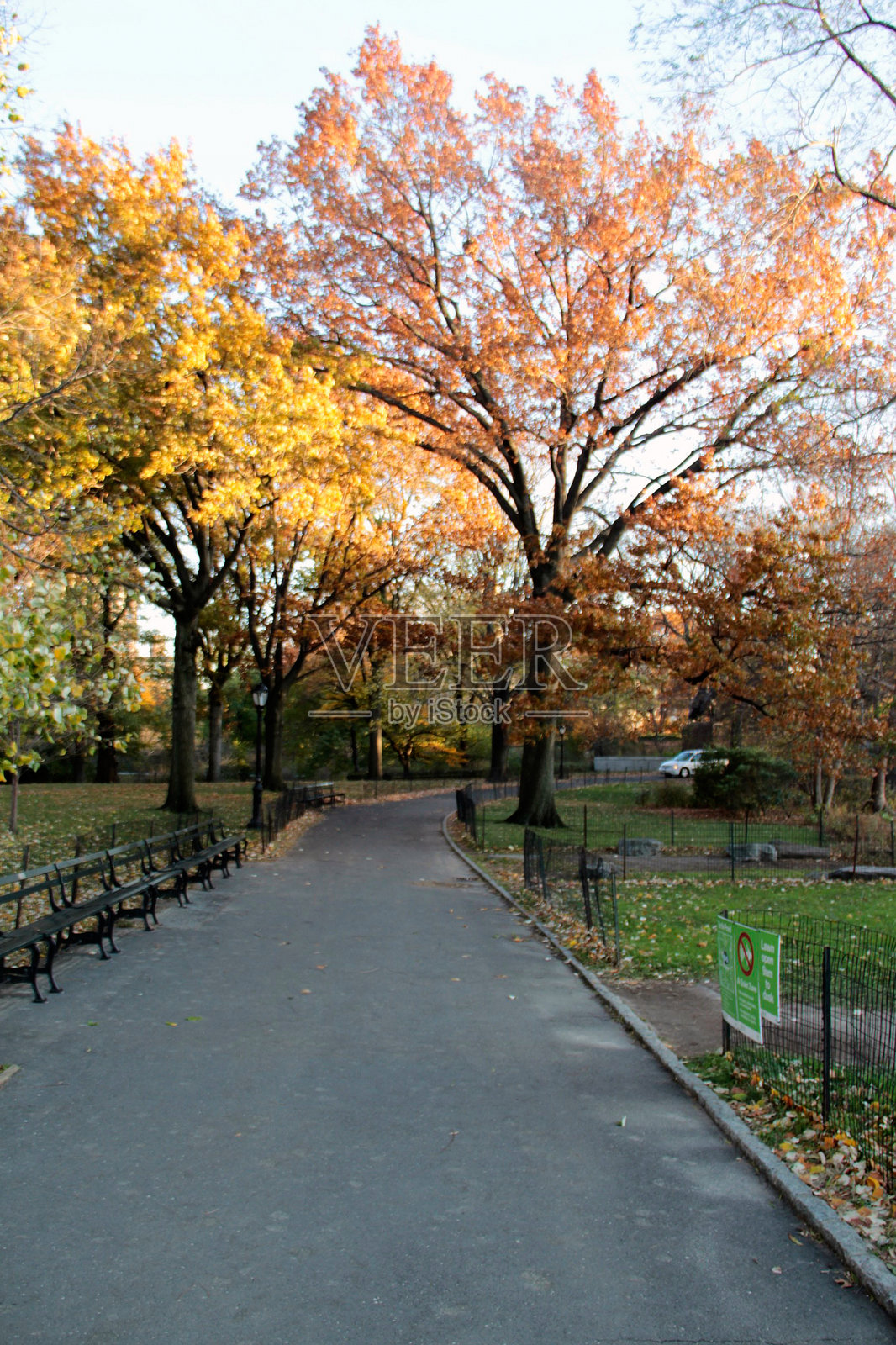 公园中的秋日宁静照片摄影图片