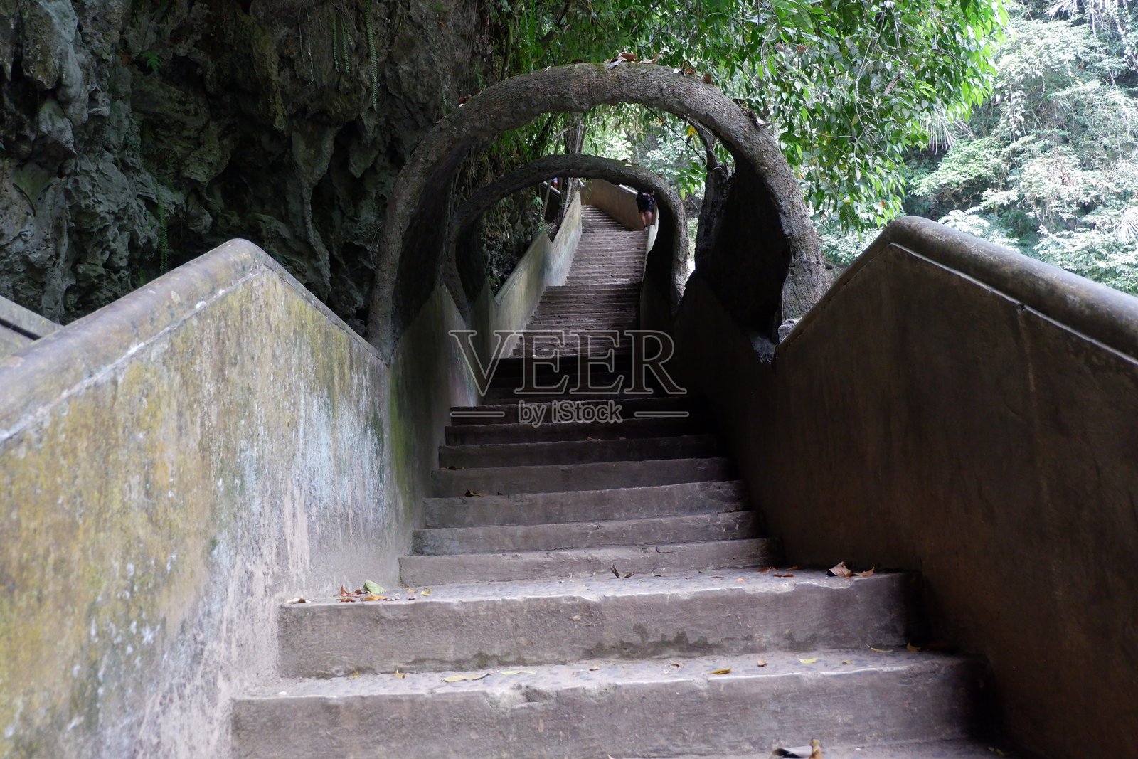 长满苔藓和肮脏的混凝土楼梯照片摄影图片