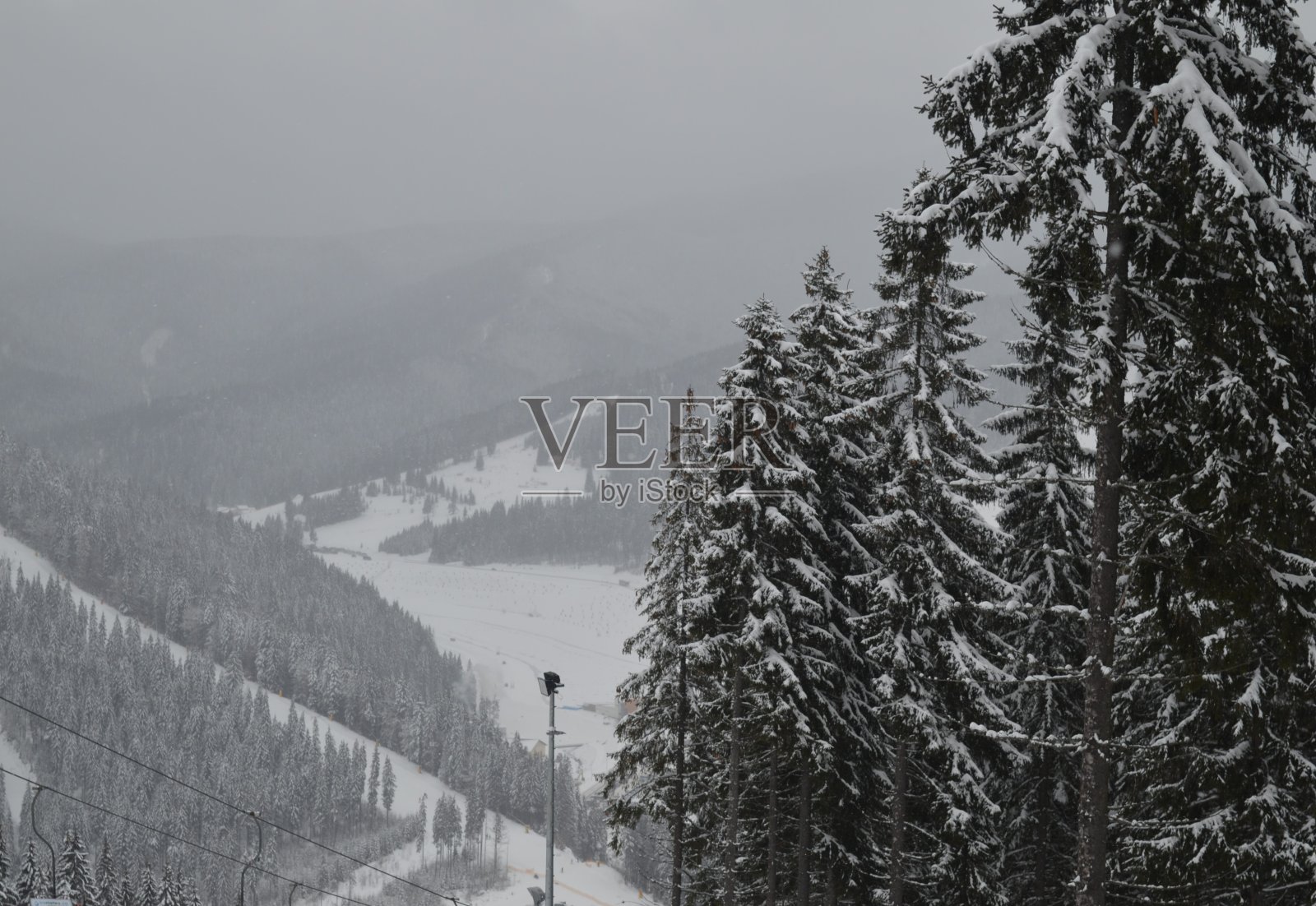 喀尔巴阡山脉在冬季被雾气、云杉和雪覆盖，滑雪坡道。照片摄影图片
