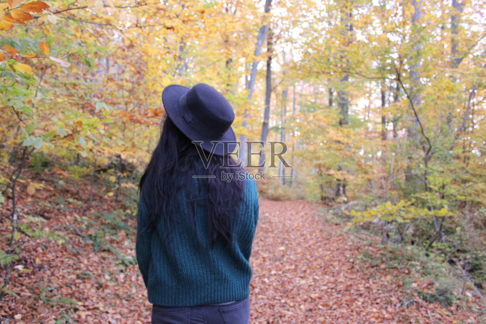 年轻女性戴着帽子，穿着绿色毛衣，在秋天的森林中漫步，周围是五彩斑斓的树叶。照片摄影图片