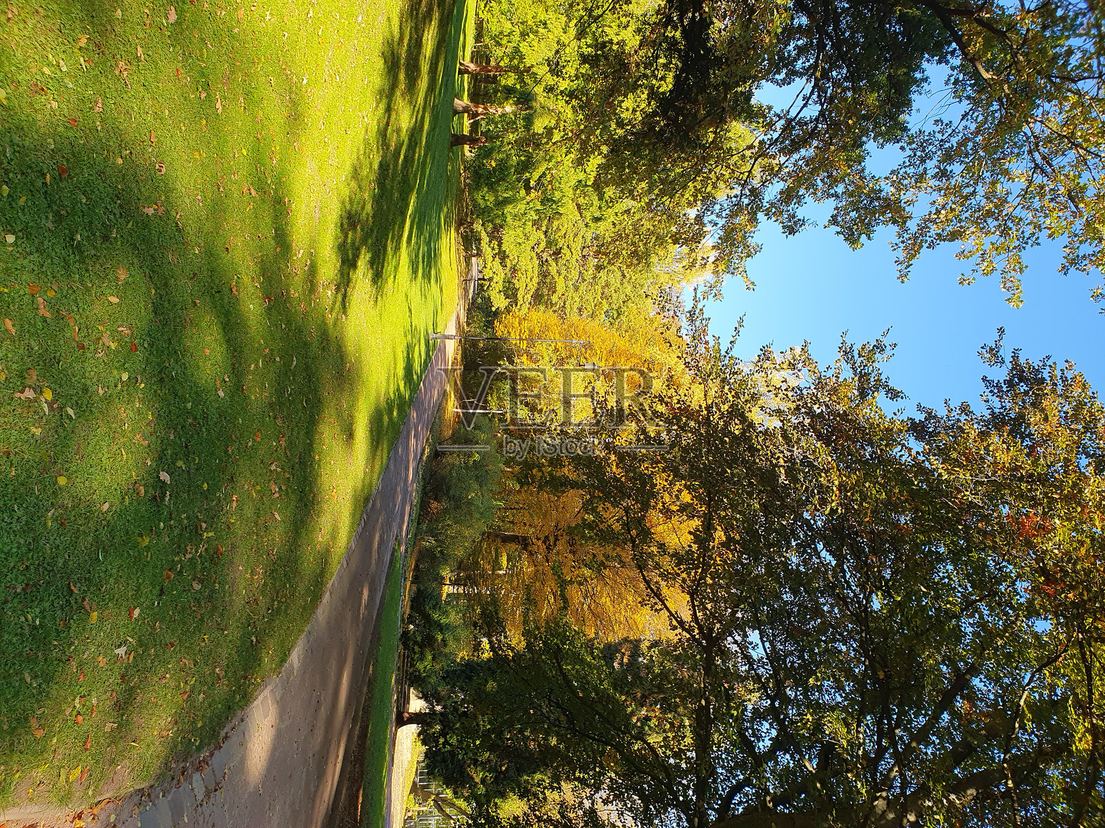秋天公园的小径，秋季风景，黄色树木，落叶，秋天照片摄影图片