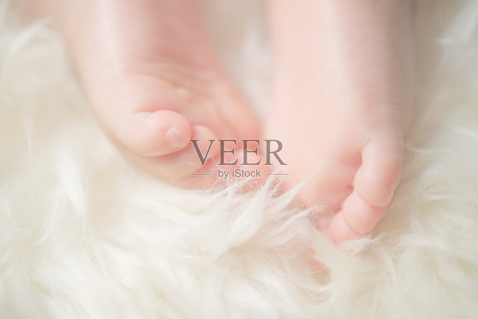 婴儿脚丫特写在羽毛上照片摄影图片