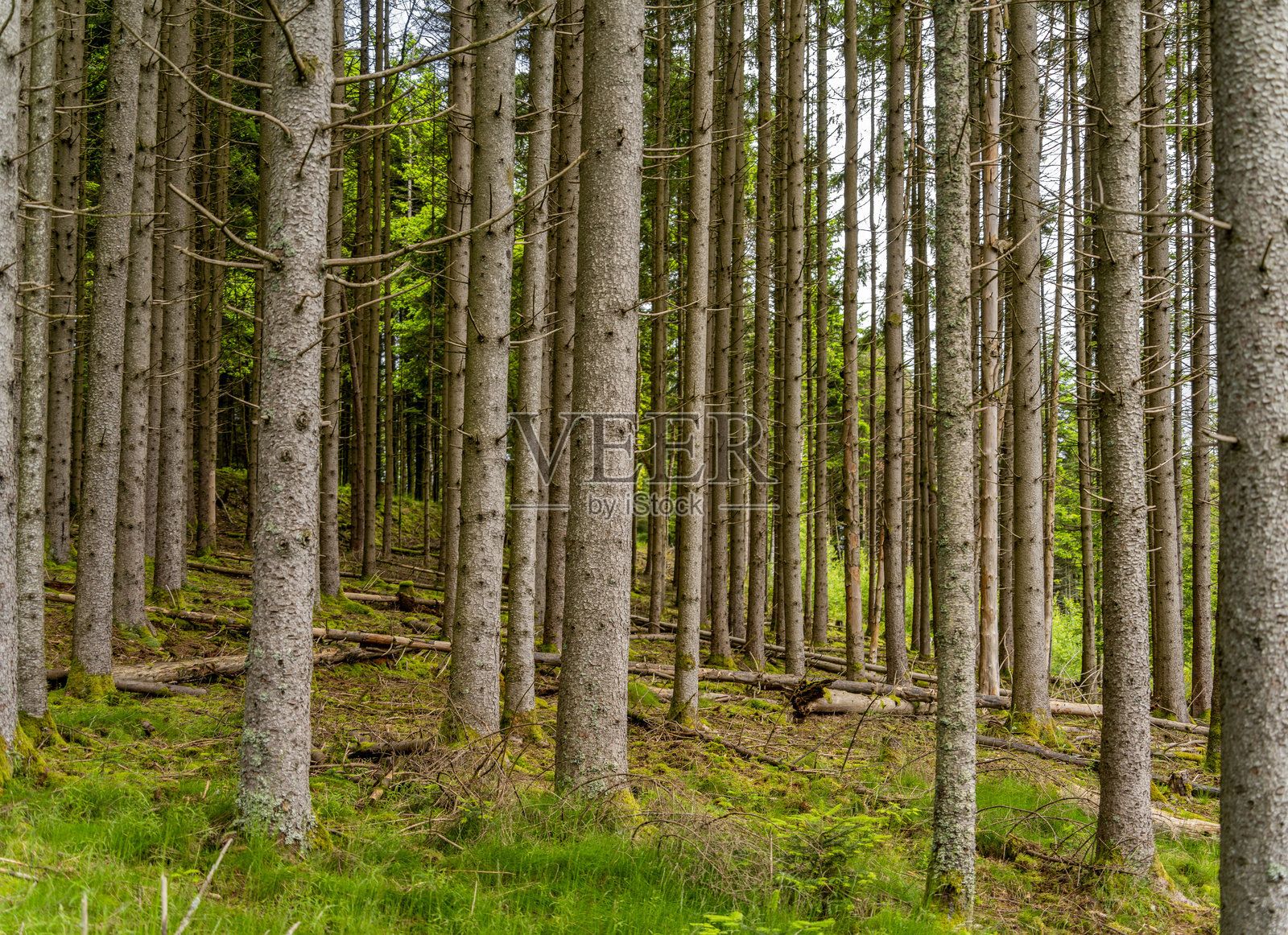 法国索尔克吕尔周边照片摄影图片