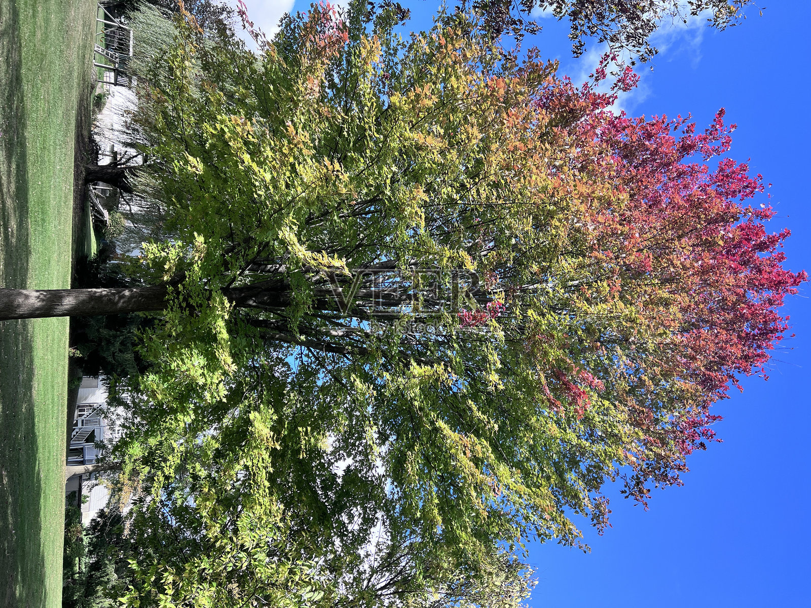 秋天的日子照片摄影图片