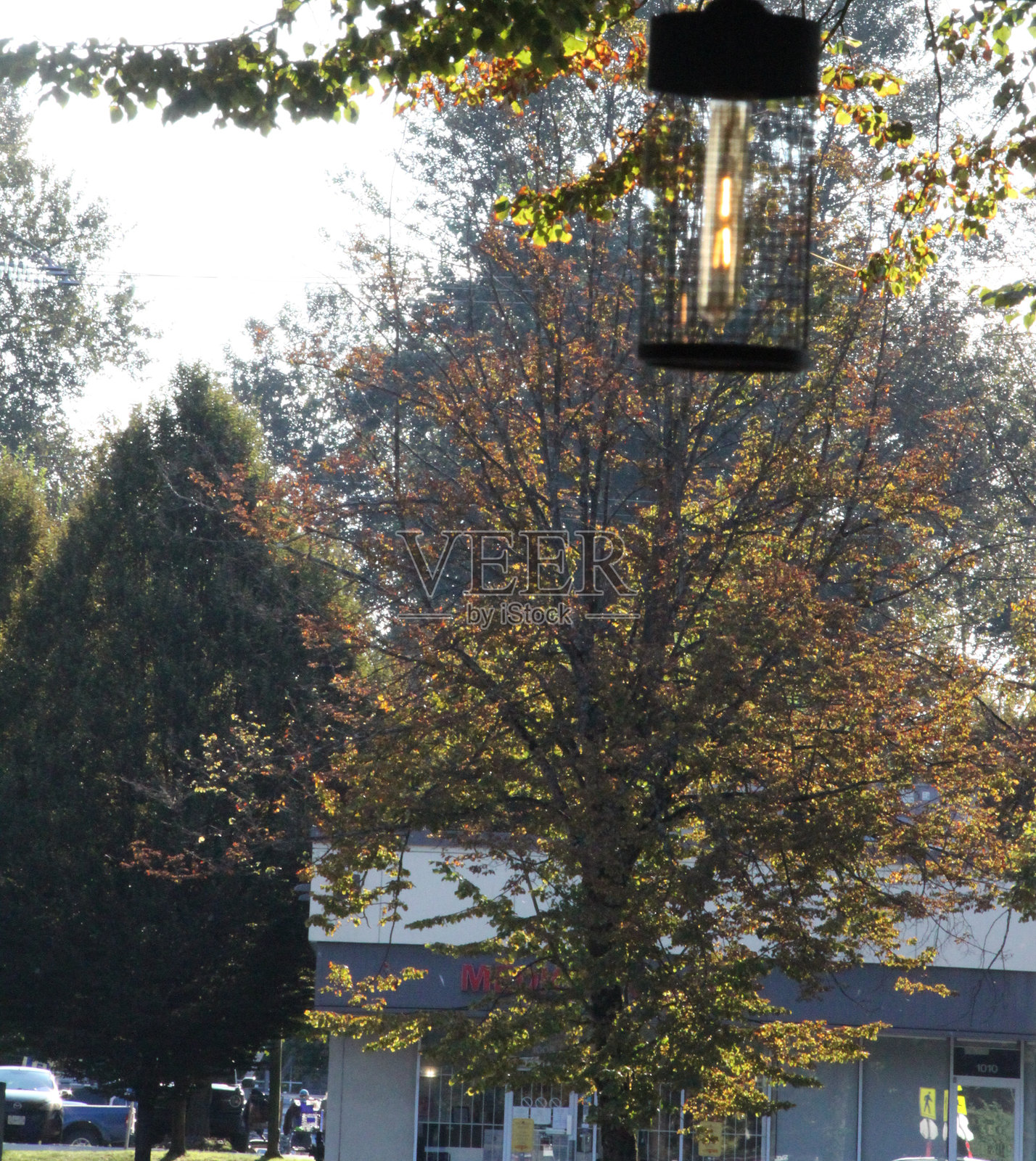 秋天的初步迹象照片摄影图片