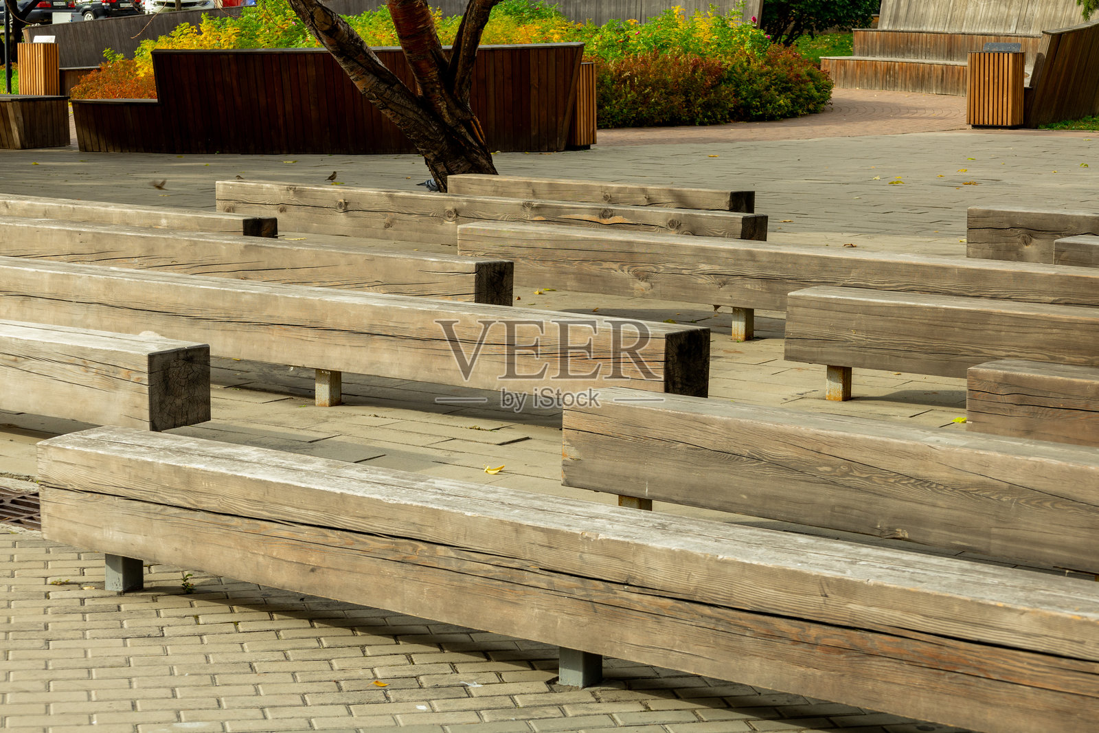 公园区域内排列的木长椅，周围绿意盎然，白天可见城市元素。照片摄影图片