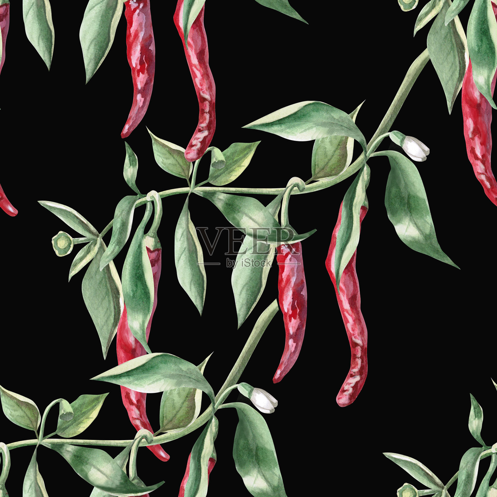 无缝图案，辣椒枝条。黑色背景上的水彩插图，适用于包装设计、厨房配件、纺织品和服装。照片摄影图片