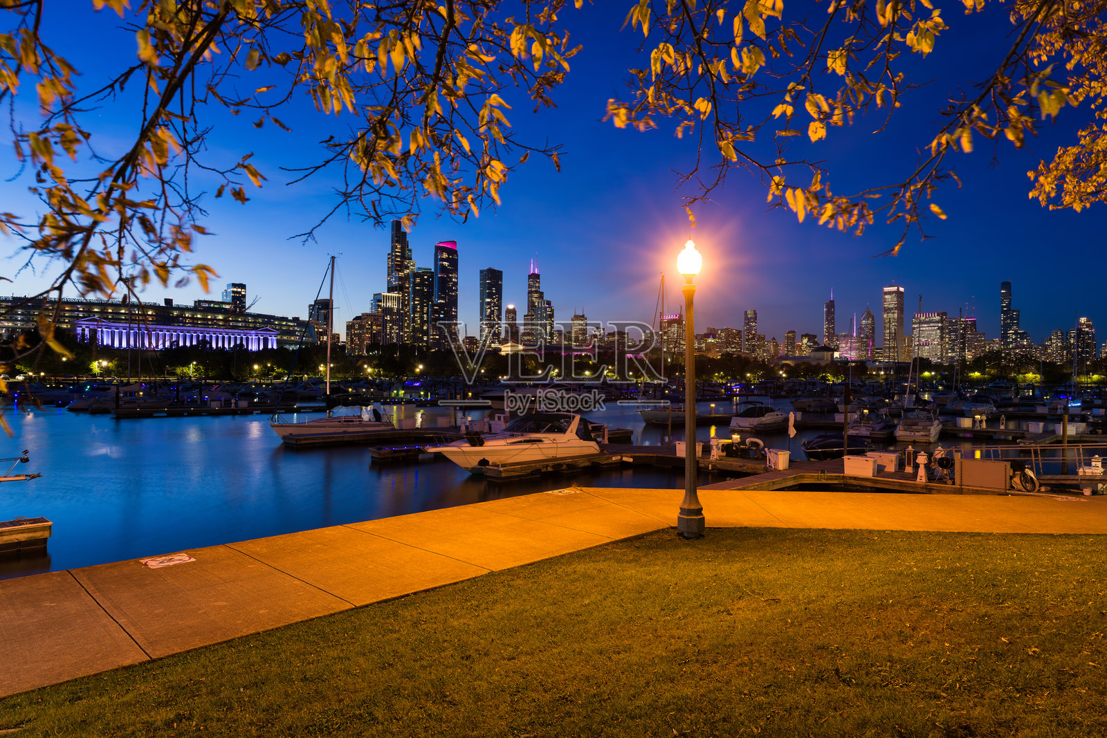 夜晚的芝加哥伊利诺伊州城市天际线倒映在水中照片摄影图片