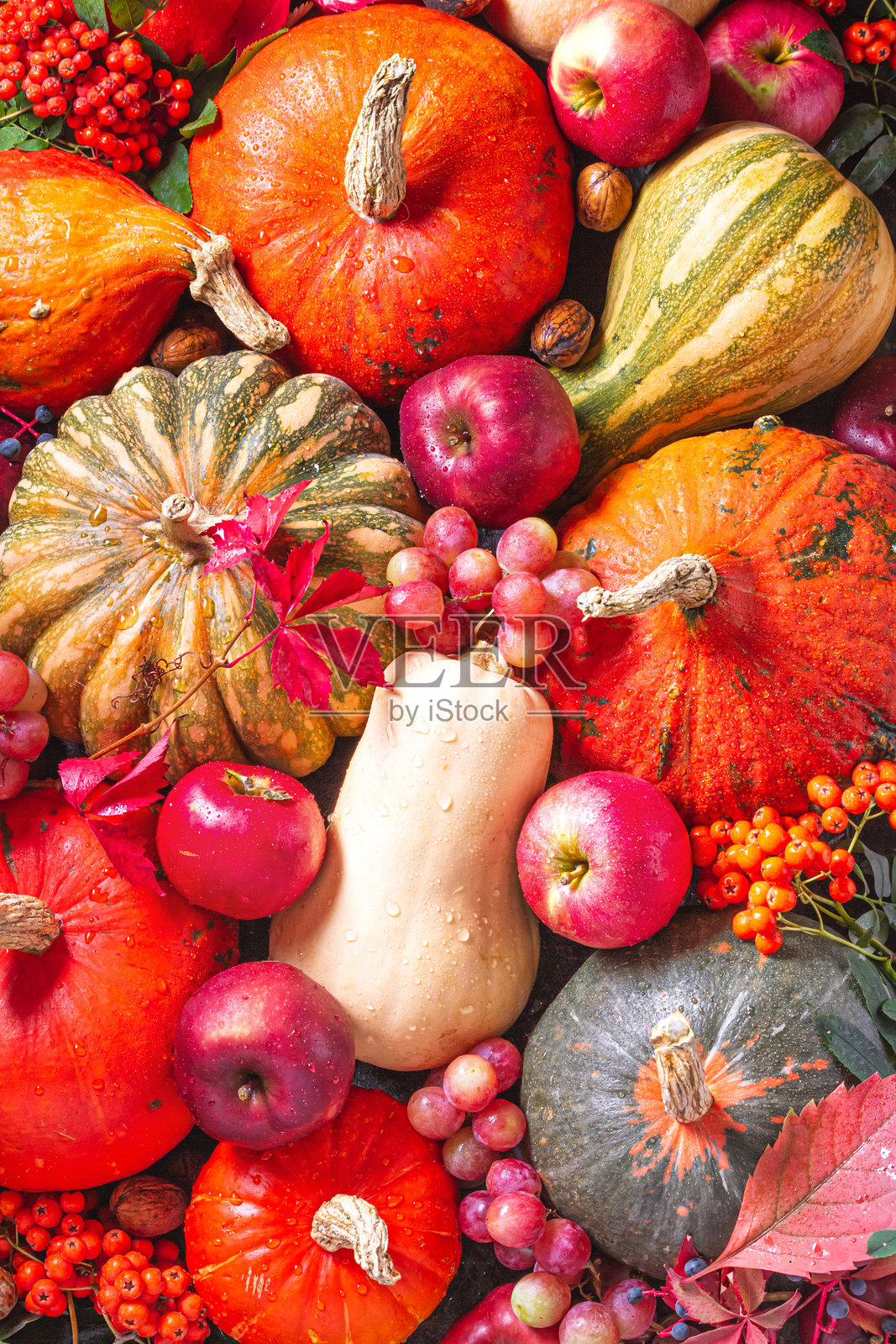 秋季背景，搭配时令水果和蔬菜，俯视图，平铺展示照片摄影图片