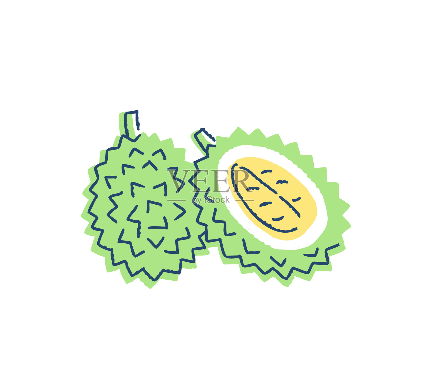 榴莲插画图片素材