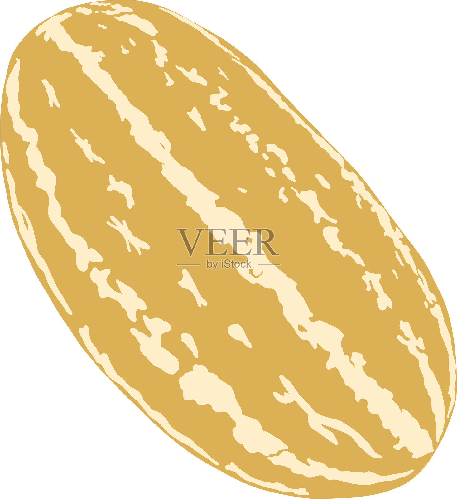 手绘黄色甜瓜插图插画图片素材