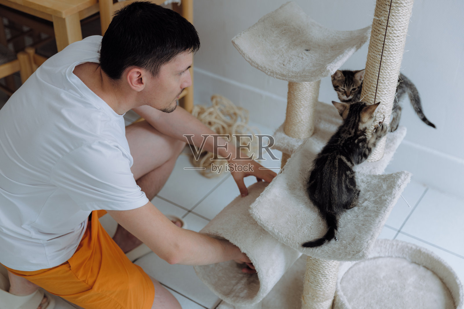 一个男人正在家里翻新猫窝。照片摄影图片