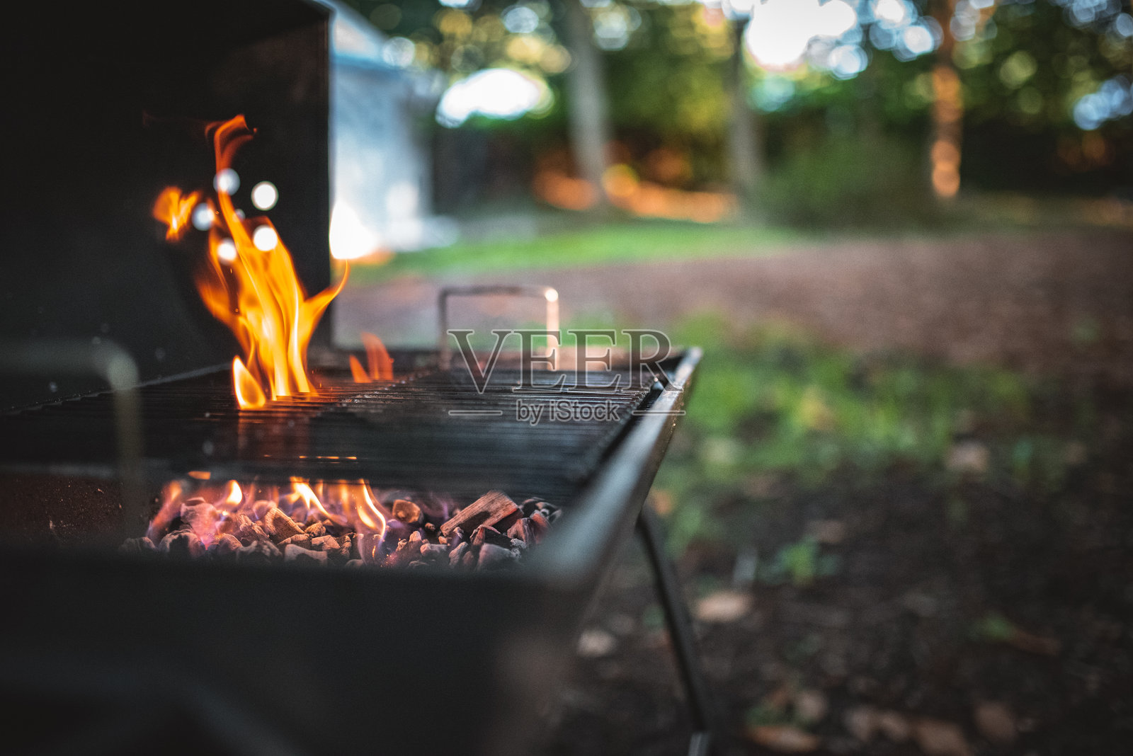 度假时在森林中烤架下的烧烤火焰。照片摄影图片