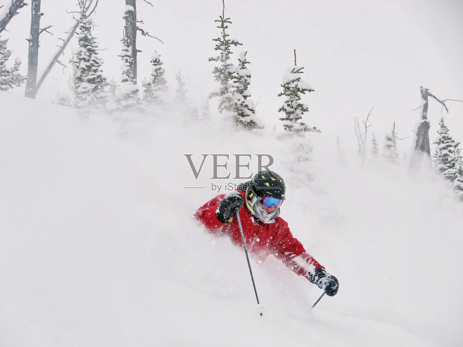 阿尔伯塔滑雪粉雪照片摄影图片