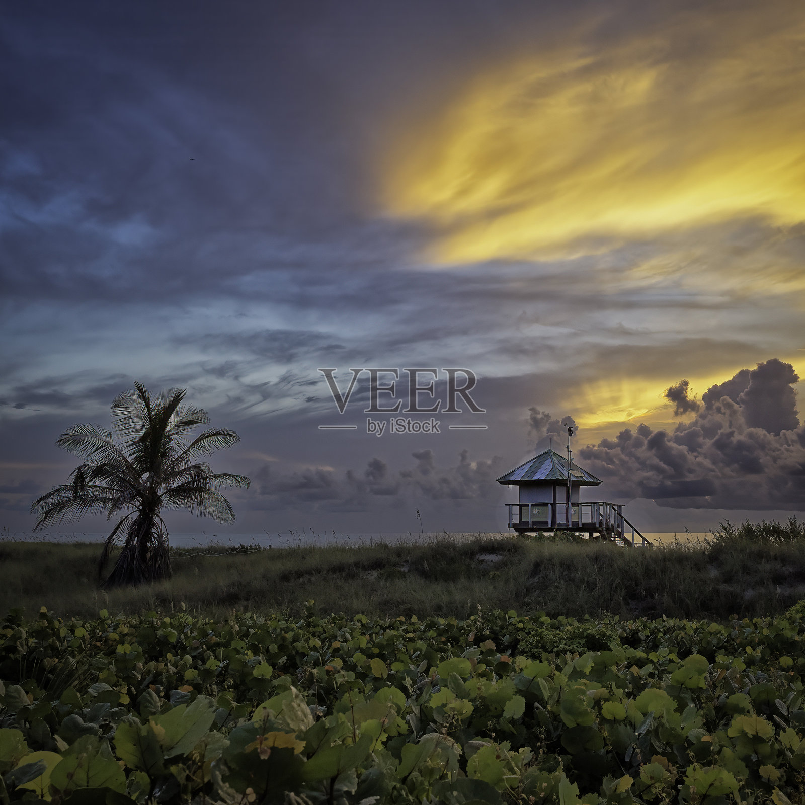 海边的日出照片摄影图片
