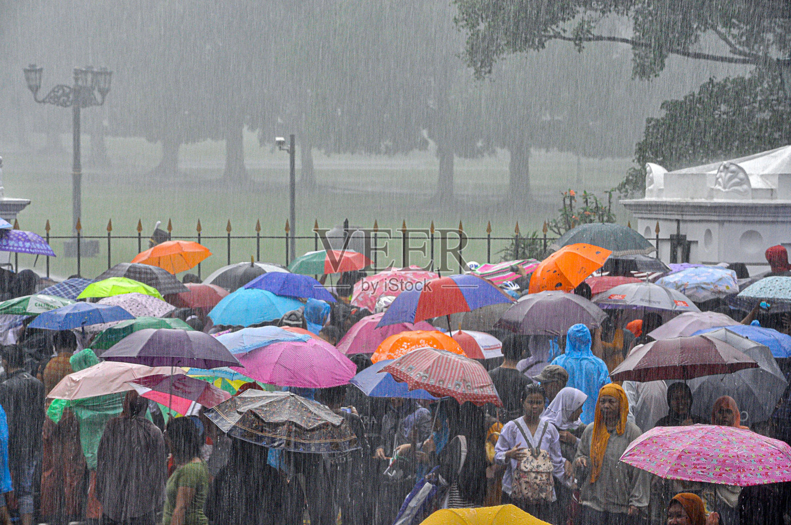 大雨照片摄影图片