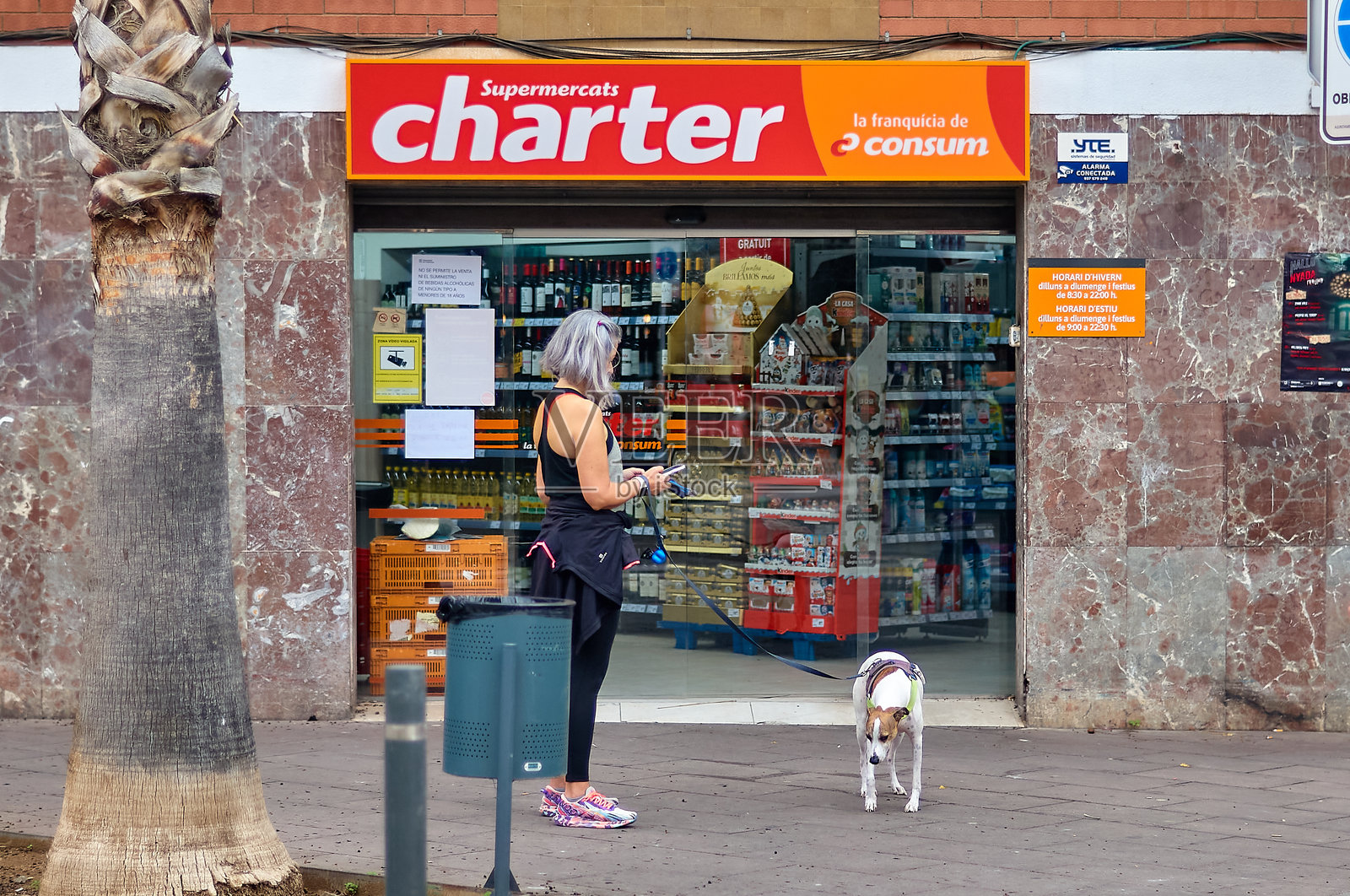 在查特超市外的女人与狗照片摄影图片