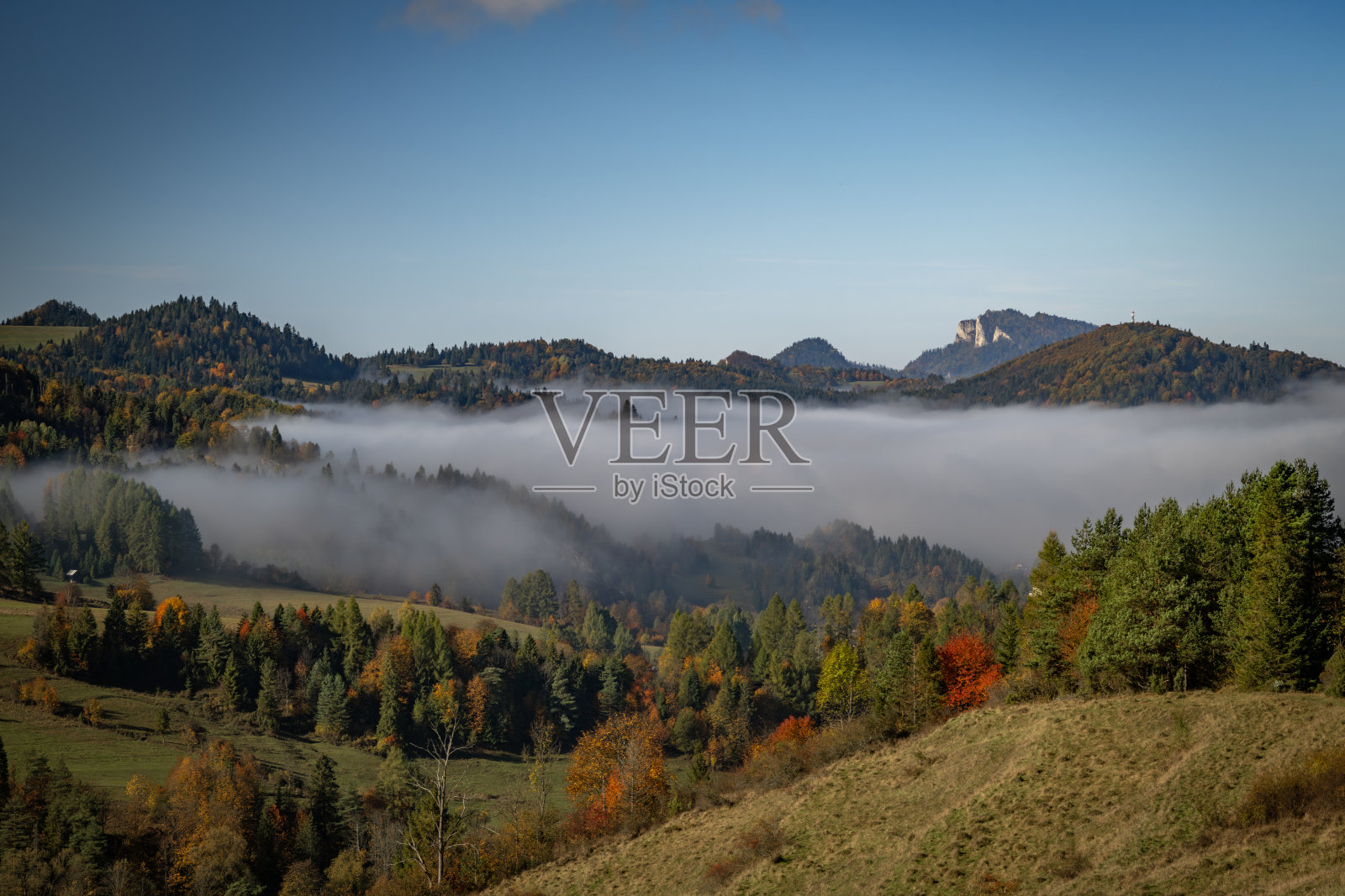 秋季草地和雾蒙蒙的山谷，靠近Jaworki村的山间小屋照片摄影图片