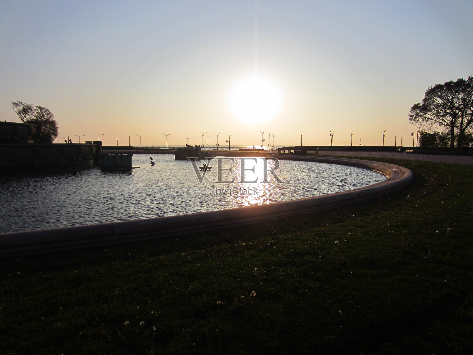 2012年芝加哥美丽的晨光照片摄影图片