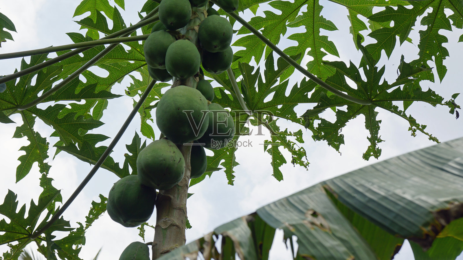 坦桑尼亚风景照片摄影图片