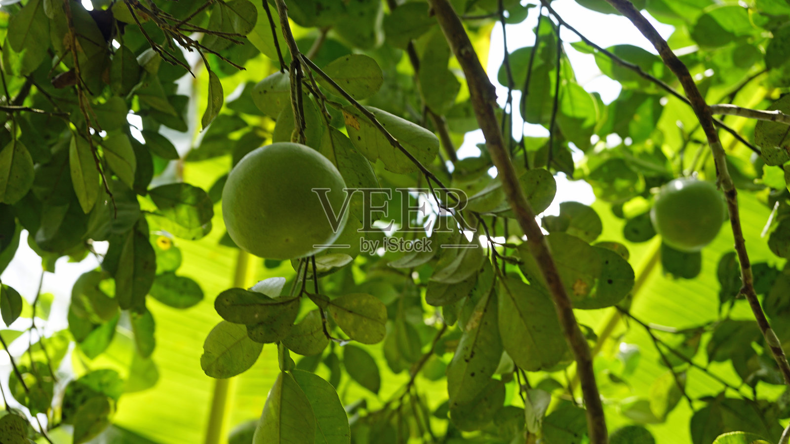 坦桑尼亚风景照片摄影图片