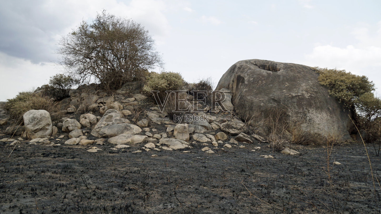 坦桑尼亚风景照片摄影图片