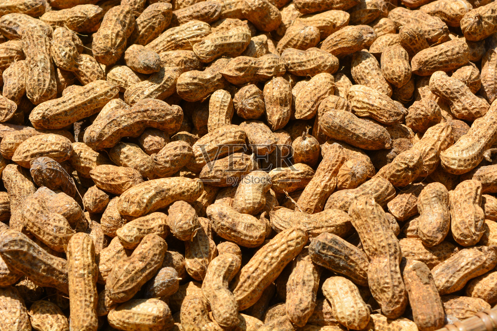 阳光下晒干的带皮花生平铺在桌面上照片摄影图片