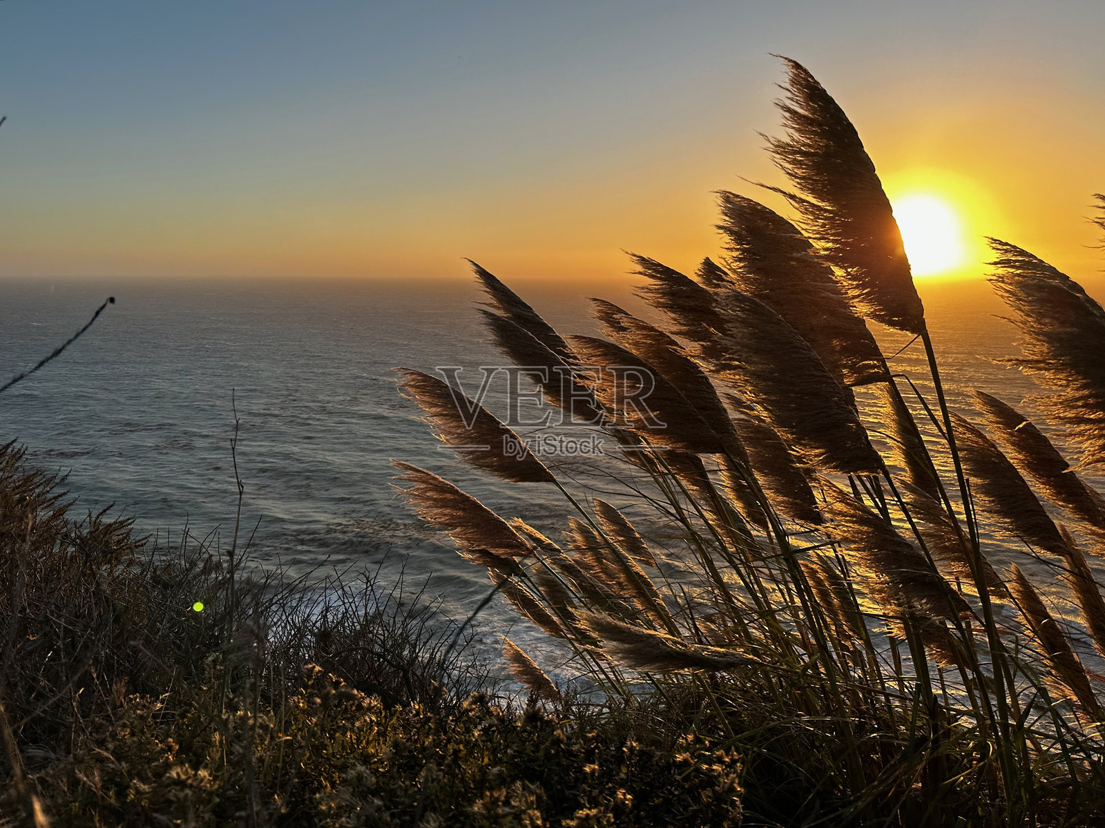金色时光的海岸微风照片摄影图片