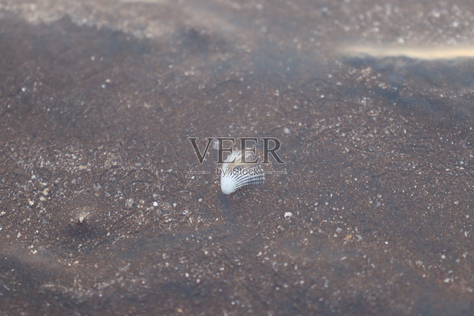 在孟买阿里巴格旅行时拍摄的穆鲁德·詹吉拉海滩照片照片摄影图片