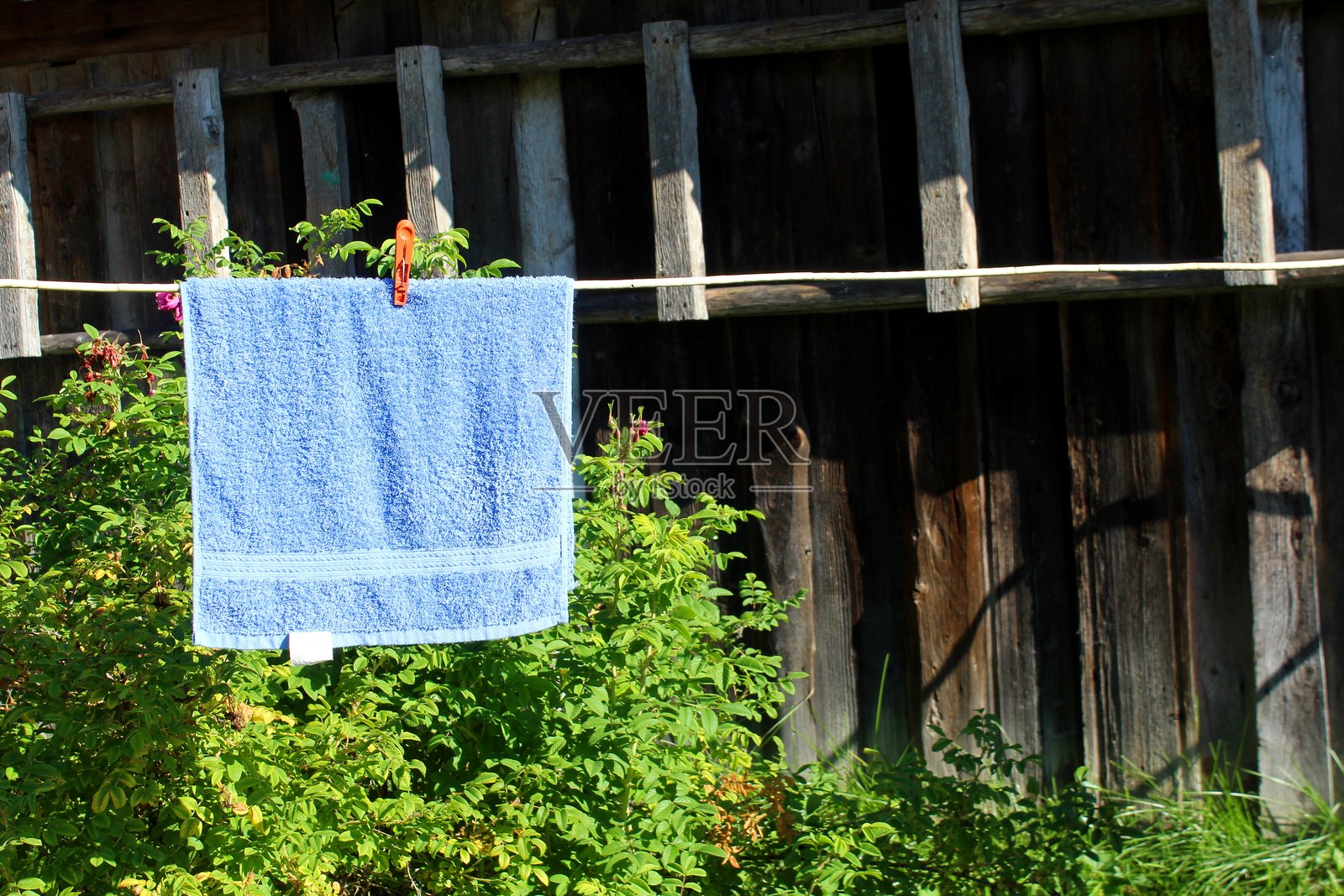 一条干净的洗过的毛巾挂在晾衣绳上。照片摄影图片