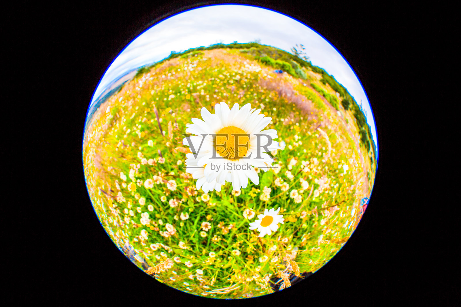 智利的托雷斯德尔潘恩国家公园 - 自然与野生动物照片摄影图片