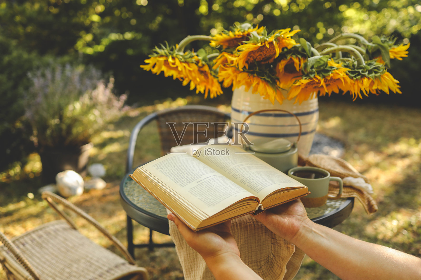 女孩在花园里阅读一本书，良好的夏日早晨概念照片摄影图片