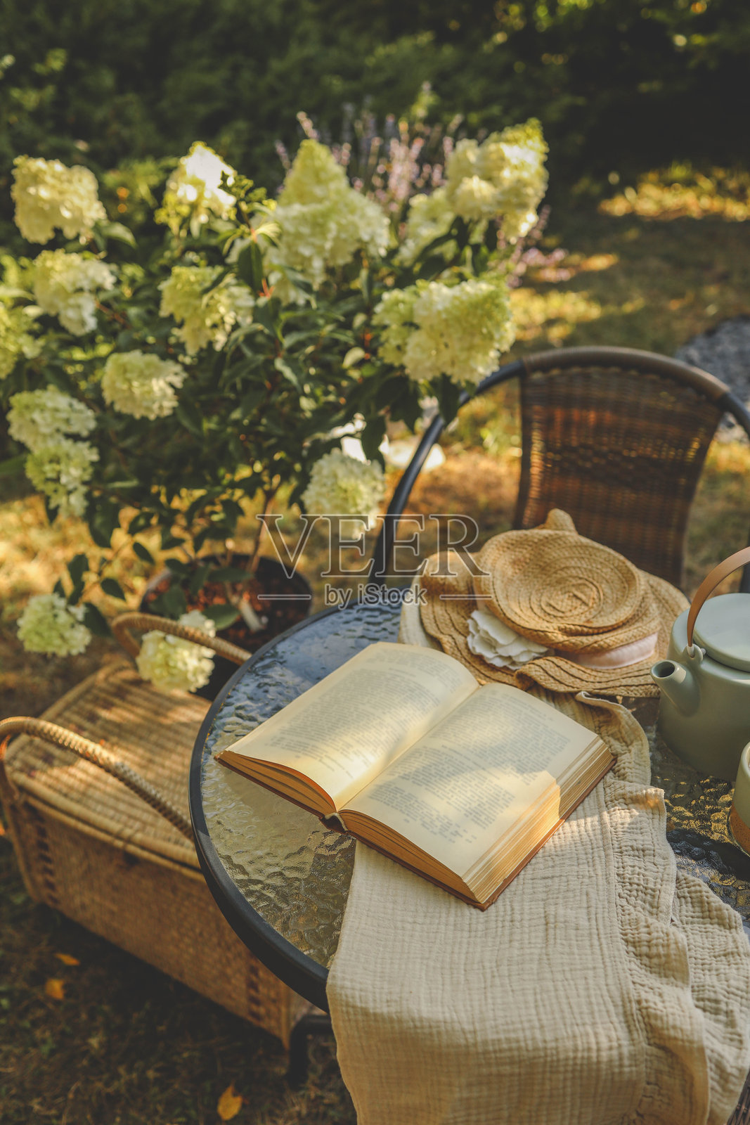夏日清晨的花园。一书、一藤篮、一顶帽子和一壶茶。照片摄影图片