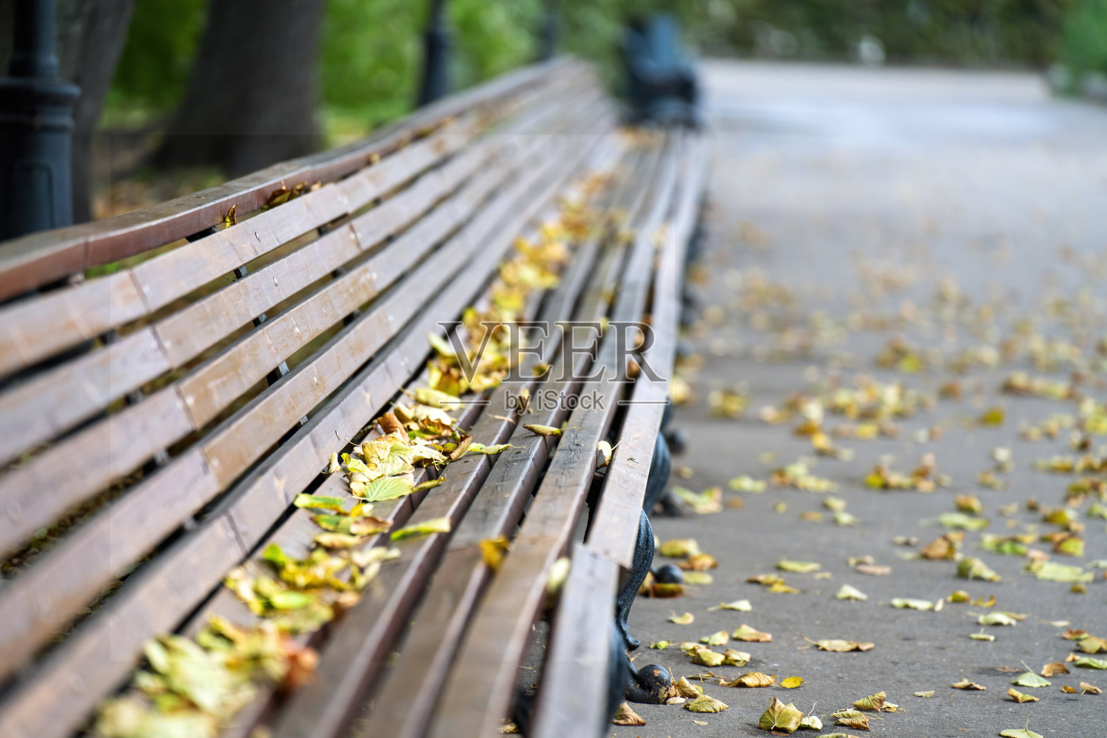 长椅上铺满了黄色的秋叶，坐落在公园里。它营造出一种宁静、沉思的氛围，邀请人们在大自然色彩斑斓的季节变换中静静反思。照片摄影图片