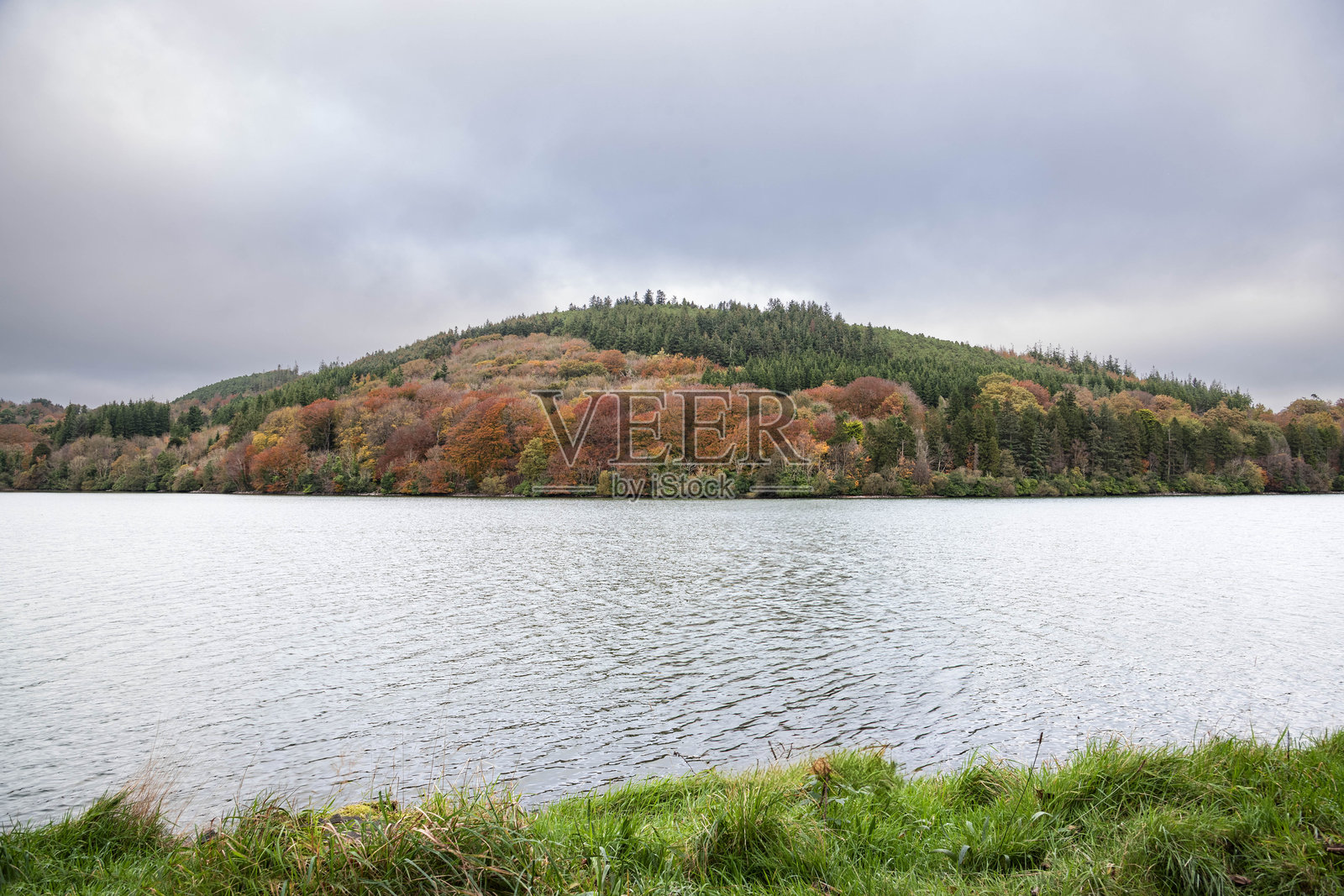 北爱尔兰卡斯尔韦兰湖周围的秋季色彩树木 - 股票照片照片摄影图片
