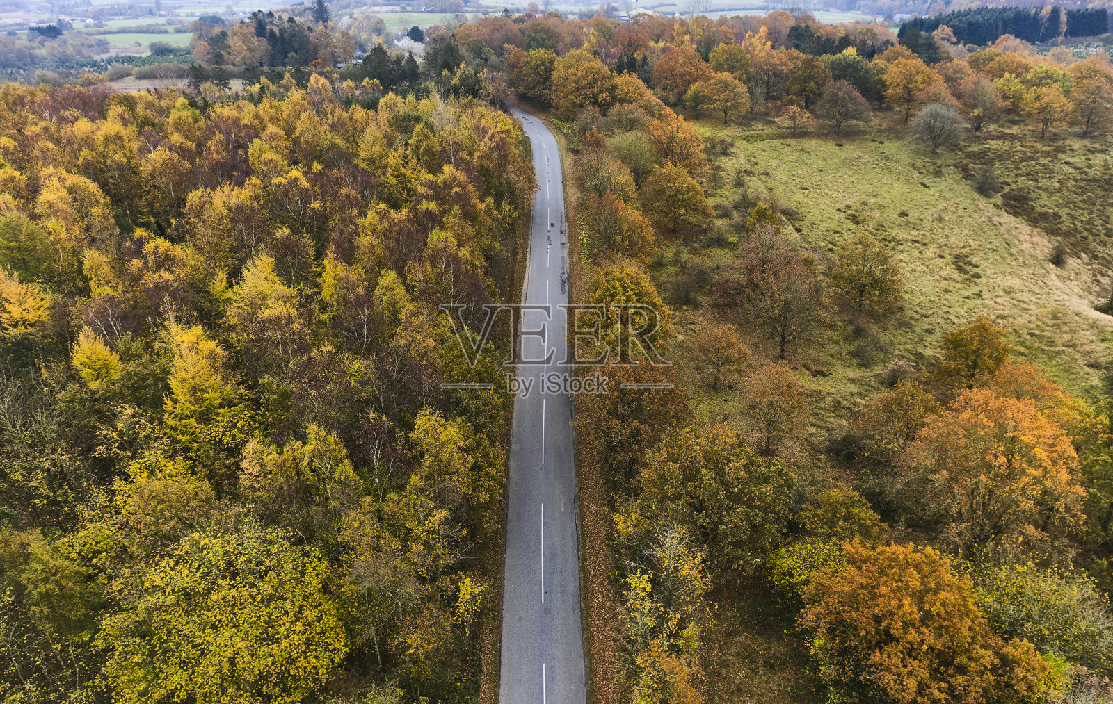 自然林地与小乡村道路照片摄影图片