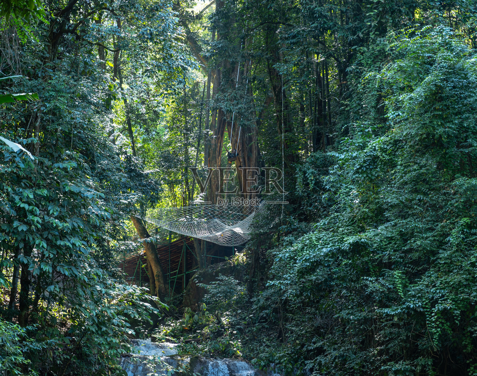雨林中的瀑布照片摄影图片