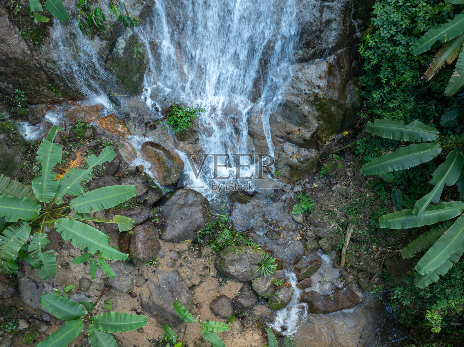 雨林中的瀑布照片摄影图片