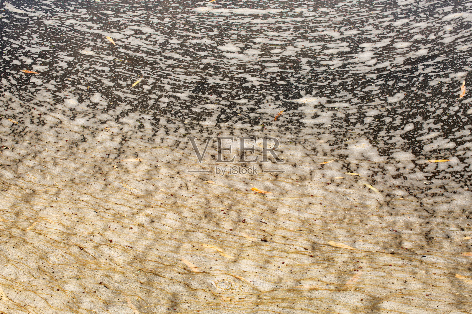 亚利桑那州盐河边缘的河泡照片摄影图片